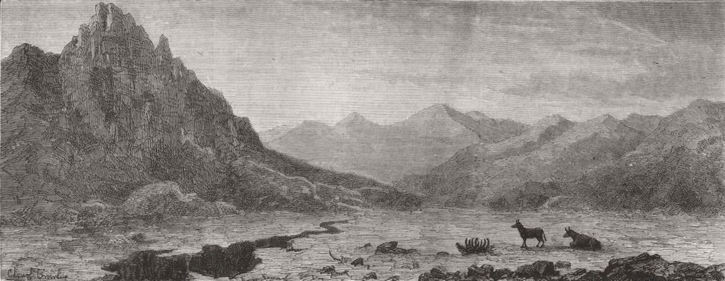 INDIA. Ladakh scenery-The Kiang-chu Maidan 1878 old antique print picture